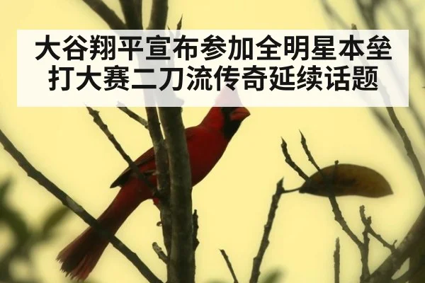 大谷翔平宣布参加全明星本垒打大赛二刀流传奇延续话题